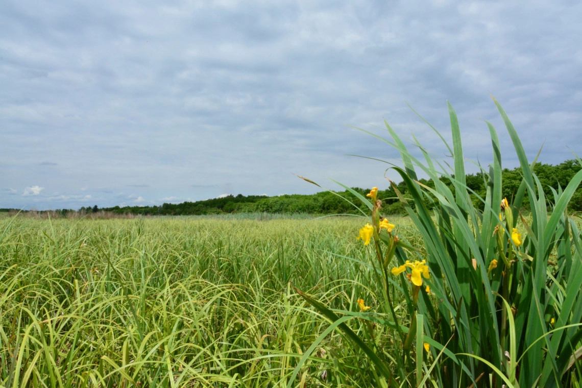 Održan mini kamp u Čardaku